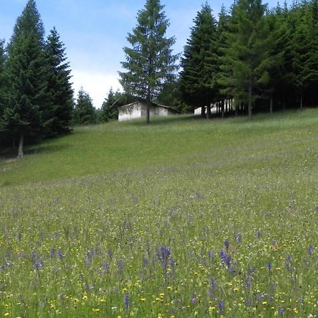 Hotel Isolabella Wellness Fiera Di Primiero Eksteriør bilde